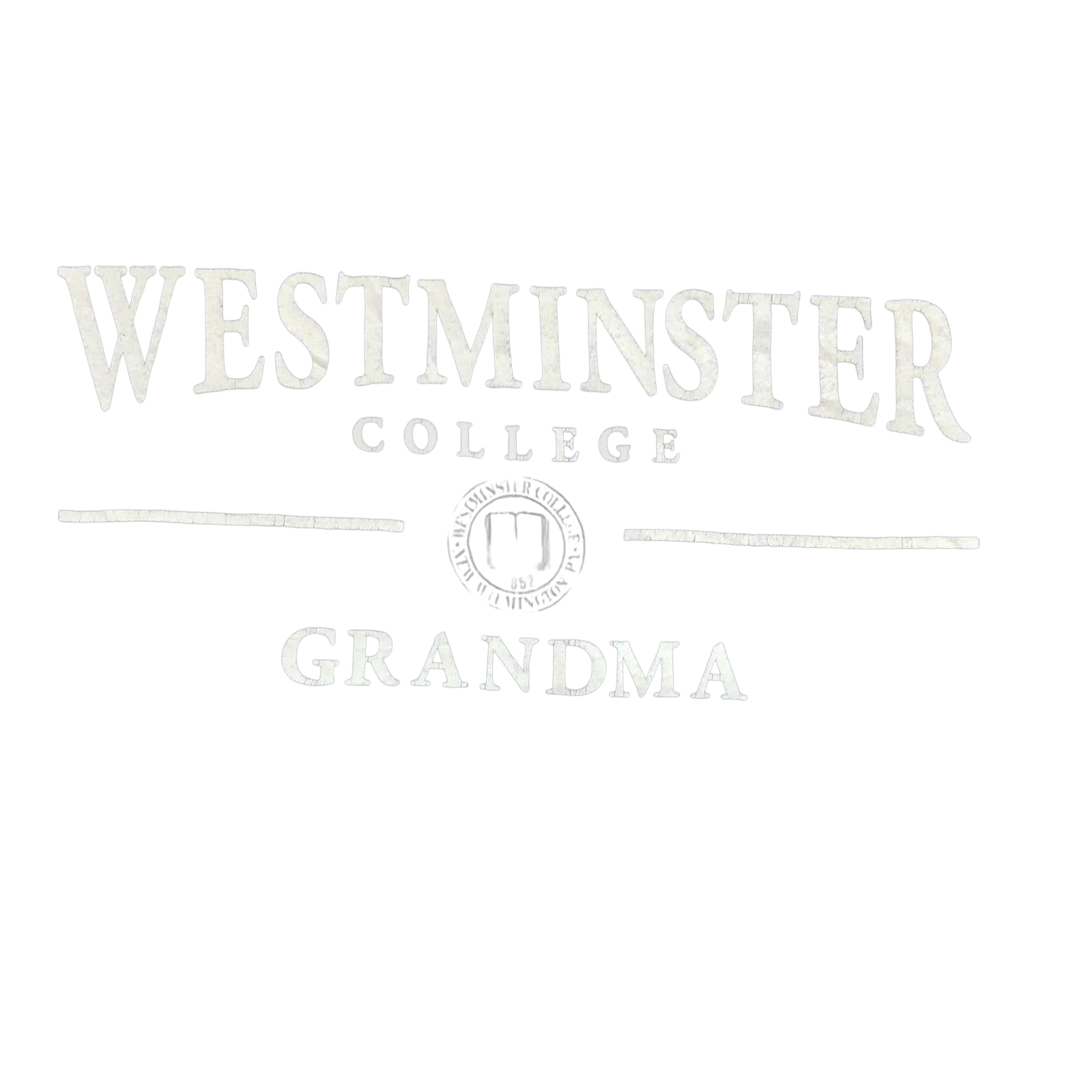 My Store navy cotton Champion t-shirt with white Westminster College Grandma graphic print