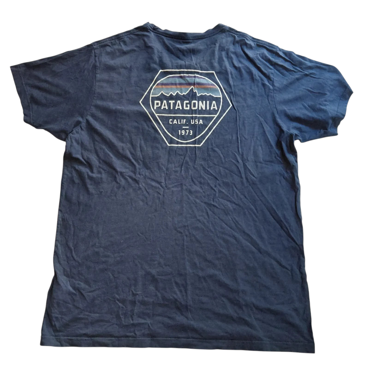 My Store Patagonia navy organic cotton crew neck t-shirt with back mountain graphic logo